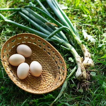 Kuca Za Odmor Sliskovic