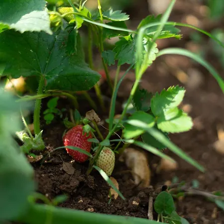 Holiday home Kuca Za Odmor Sliskovic *