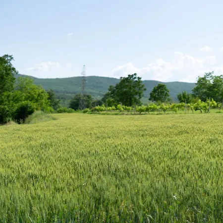 Kuca Za Odmor Sliskovic Holiday home Sliіkoviсi